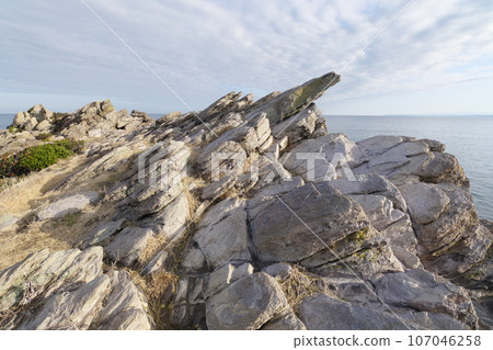 Fukui Prefecture Echizen Coast, Ojima plate-like joints 107046258