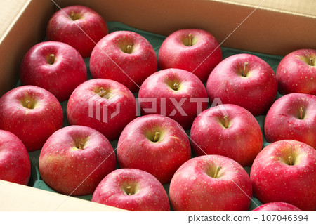 Apples (cool incense season) Apples (cool incense season) 107046394