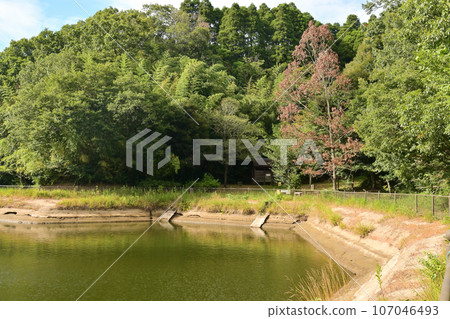 Long-length dam 107046493