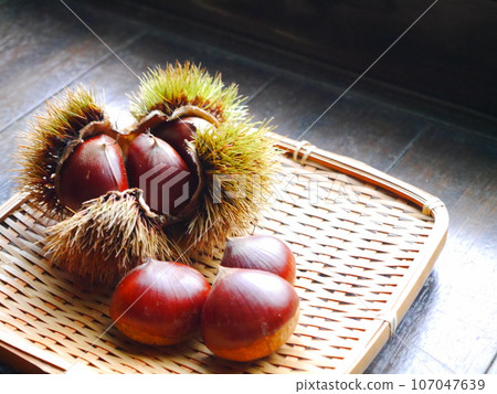 Autumn taste chestnut Autumn taste chestnut 107047639