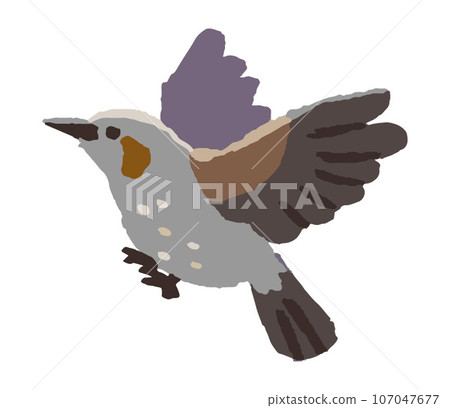 飛翔的鵯(手寫彩色) 飛翔的鵯(手寫彩色) 107047677