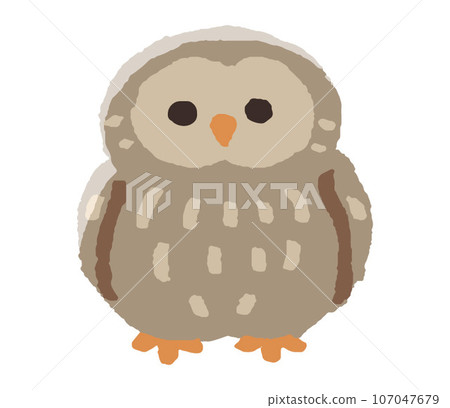 貓頭鷹   107047679