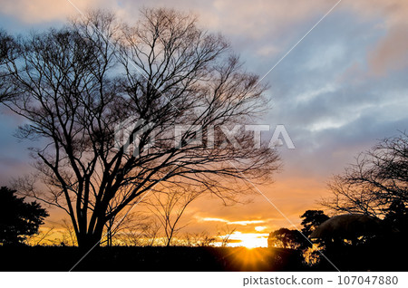 冬天的早晨《風景素材》 107047880