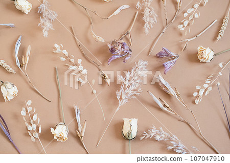 Dried flowery plants arrangement. Autumnal monochrome floral set. 107047910