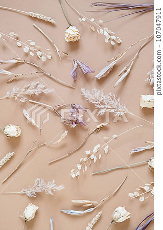 Dried flowery plants arrangement. Autumnal monochrome floral set. 107047911