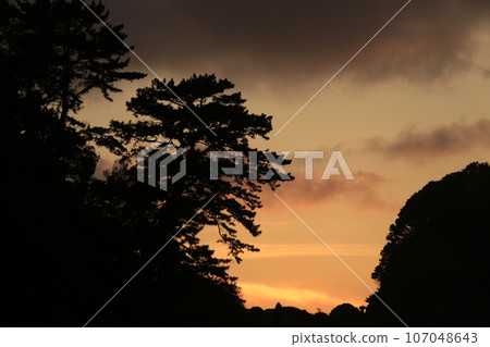 在海上日落 107048643