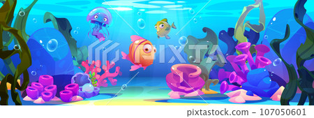 Seabed with marine habitats and algae 107050601