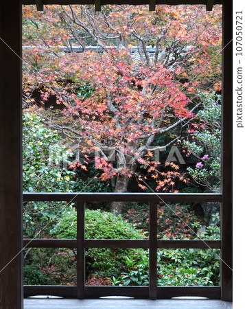 Visiting Kyoto's autumn leaves - Honen-in Temple edition Visiting Kyoto's autumn leaves - Honen-in Temple edition 107050721