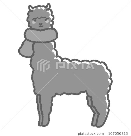 Illustration of a fluffy alpaca wrapped in a scarf (full body) black and white Illustration of a fluffy alpaca wrapped in a scarf (full body) black and white 107050813