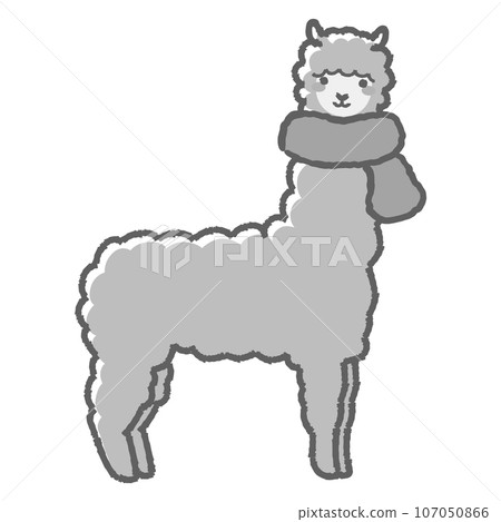 Illustration of a fluffy alpaca wrapped in a scarf (full body) black and white 107050866