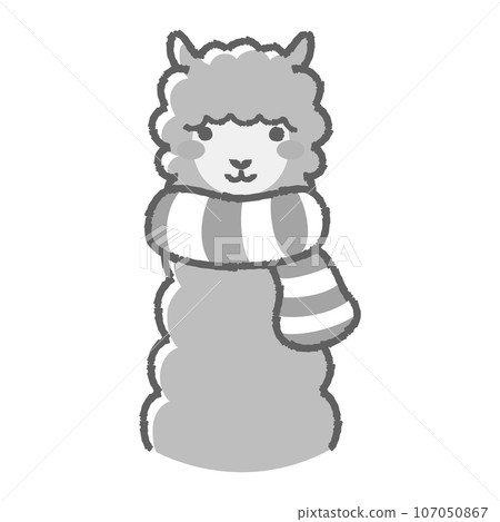 一隻毛茸茸的羊駝戴著圍巾（正面）黑白的插圖 107050867