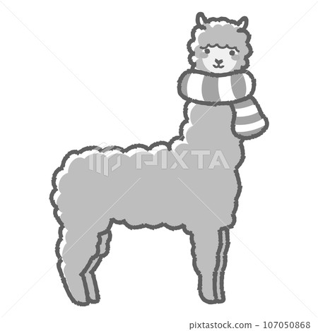 Illustration of a fluffy alpaca wrapped in a scarf (full body) black and white Illustration of a fluffy alpaca wrapped in a scarf (full body) black and white 107050868