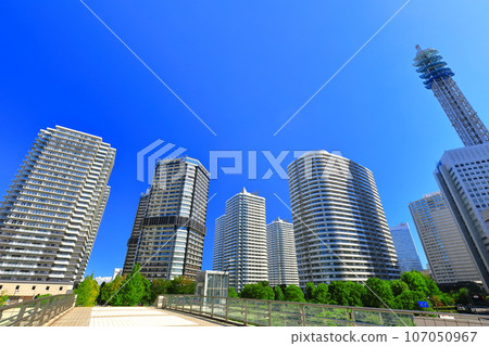 [Kanagawa Prefecture] Minato Mirai tower apartment complex 107050967