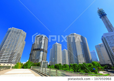 [Kanagawa Prefecture] Minato Mirai tower apartment complex 107050968