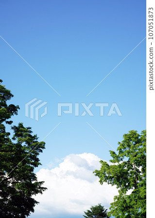 綠樹和藍天 107051873