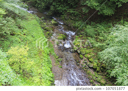 Haruna Shrine, clear stream beside the approach, Haruna River, Mt. Haruna 107051877