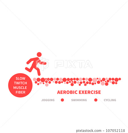 Slow twitch red muscle fiber type illustration Slow twitch red muscle fiber type illustration 107052118
