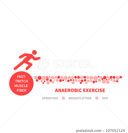 Fast twitch white muscle fiber type illustration Fast twitch white muscle fiber type illustration 107052124