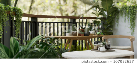Copy space on a coffee table on a greenery apartment balcony with various tropical plants. 107052637