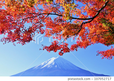Autumn leaves and Mt. Fuji Autumn leaves and Mt. Fuji 107052717