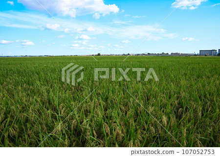 Kawagoe City, scenery from near Furuya, direction of Kawagoe Line 107052753