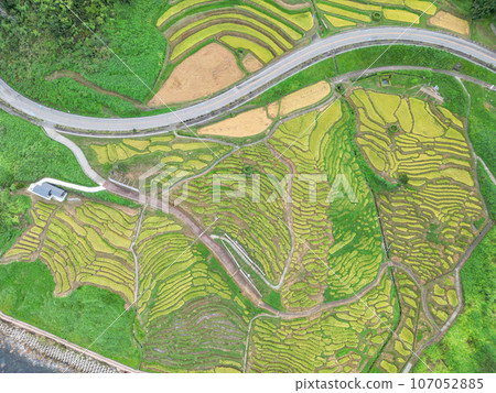 Aerial view of “Ishikawa Prefecture” Autumn white rice fields, Noto Peninsula 107052885