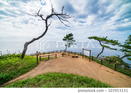 “Ishikawa Prefecture” Yase Cliff Observation Deck Noto Peninsula 107053131