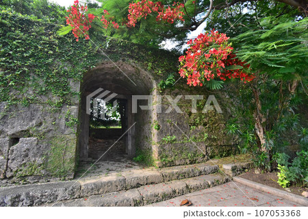 總源寺石門和梧桐樹 總源寺石門和梧桐樹 107053368
