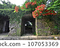 曹源寺關門與法王木 107053369