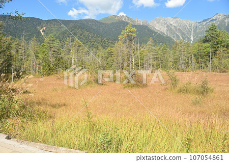 Kamikochi in early autumn, overlooking the Hotaka Mountain Range from the Tashiro Wetlands Kamikochi in early autumn, overlooking the Hotaka Mountain Range from the Tashiro Wetlands 107054861
