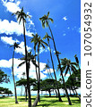 棕櫚樹和藍天 107054932