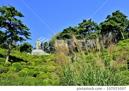 Pampas grass and the Shiofune Heiwa Kannon statue in the green azalea garden of Shiofune Kannonji Temple in Ome City Pampas grass and the Shiofune Heiwa Kannon statue in the green azalea garden of Shiofune Kannonji Temple in Ome City 107055097