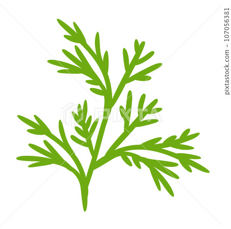 Dill leaf. Vector herbal isolated illustration. Food ingredient. Dill leaf. Vector herbal isolated illustration. Food ingredient. 107056381