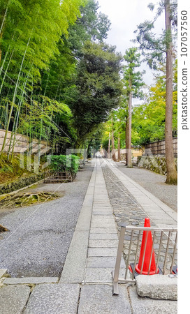 安靜的參拜道、京都風景、石板路、竹牆 107057560