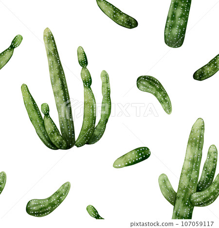 Watercolor Saguaro Carnegia cactuses seamless pattern on white background. Desert Mexican western American plants from Arizona and wild west 107059117