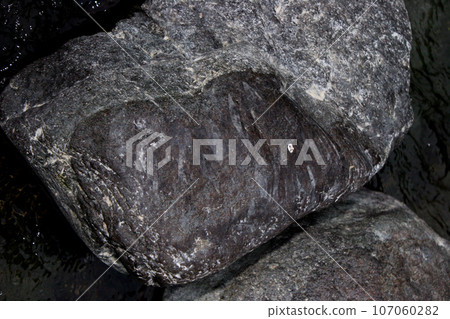 The surface of the stone has marks left by sweetfish eating it by tearing off the moss attached to the bottom stone with its teeth. The surface of the stone has marks left by sweetfish eating it by tearing off the moss attached to the bottom stone with its teeth. 107060282