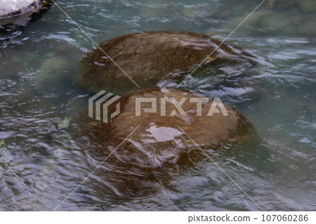 The surface of the stone has marks left by sweetfish eating it by tearing off the moss attached to the bottom stone with its teeth. The surface of the stone has marks left by sweetfish eating it by tearing off the moss attached to the bottom stone with its teeth. 107060286