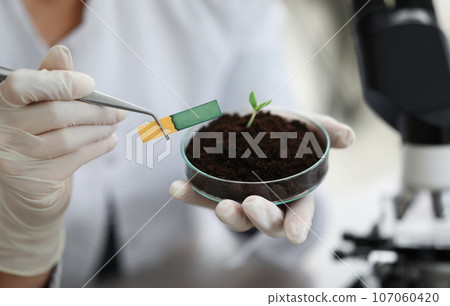 Researcher holds small-stemmed glass flask with soil with Ph test strip 107060420