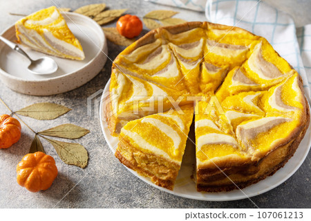 Pumpkin cottage cheese casserole pie "Zebra", striped casserole with cheese, chocolate and pumpkin on stone background. Healthy autumn dessert for breakfast. Pumpkin cottage cheese casserole pie "Zebra", striped casserole with cheese, chocolate and pumpkin on stone background. Healthy autumn dessert for breakfast. 107061213