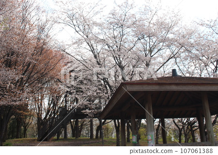 芳賀町富士山自然公園 107061388
