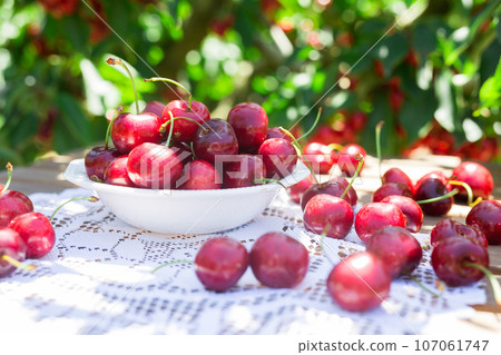 Ripe juicy cherry berry in a lace plate 107061747