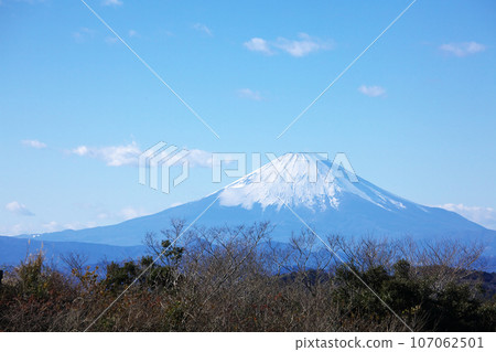 New Year's Fuji natural scenery seen from Kamakura 107062501