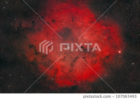 Statue Nose Nebula_2023.09 107063493