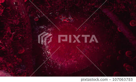 Voodoo Horror with red tentakles 107063783