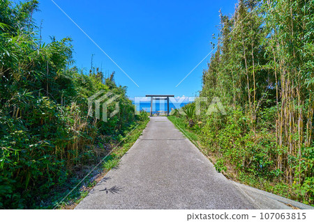 View of the first torii (hama torii) of Susaki Shrine in Tateyama City, Chiba Prefecture in summer View of the first torii (hama torii) of Susaki Shrine in Tateyama City, Chiba Prefecture in summer 107063815