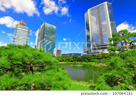 [Tokyo] Sunny weather at Kyu-Shiba Rikyu Garden 107064181