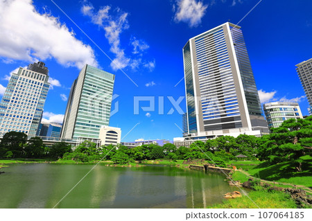 [Tokyo] Sunny weather at Kyu-Shiba Rikyu Garden 107064185