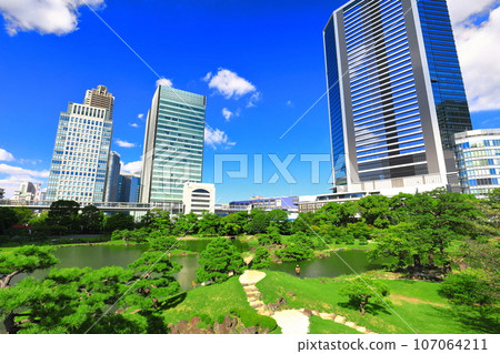 [Tokyo] Sunny weather at Kyu-Shiba Rikyu Garden 107064211