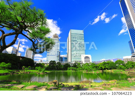 [Tokyo] Sunny weather at Kyu-Shiba Rikyu Garden 107064223