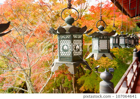談山神社/參拜堂的燈籠和紅葉(奈良縣櫻井市) 談山神社/參拜堂的燈籠和紅葉(奈良縣櫻井市) 107064641